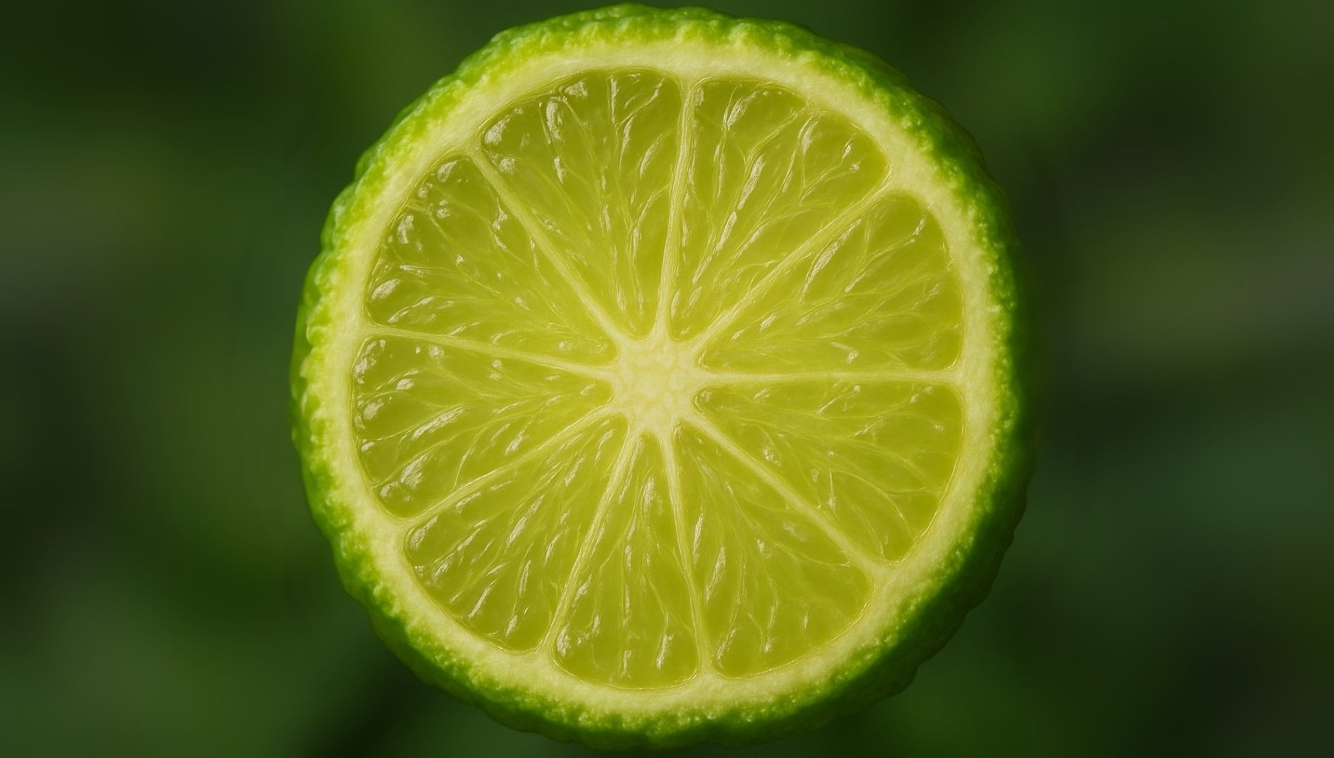 Bergamote fraîche, ingrédient essentiel des parfums d'intérieur Maison Cyrelle